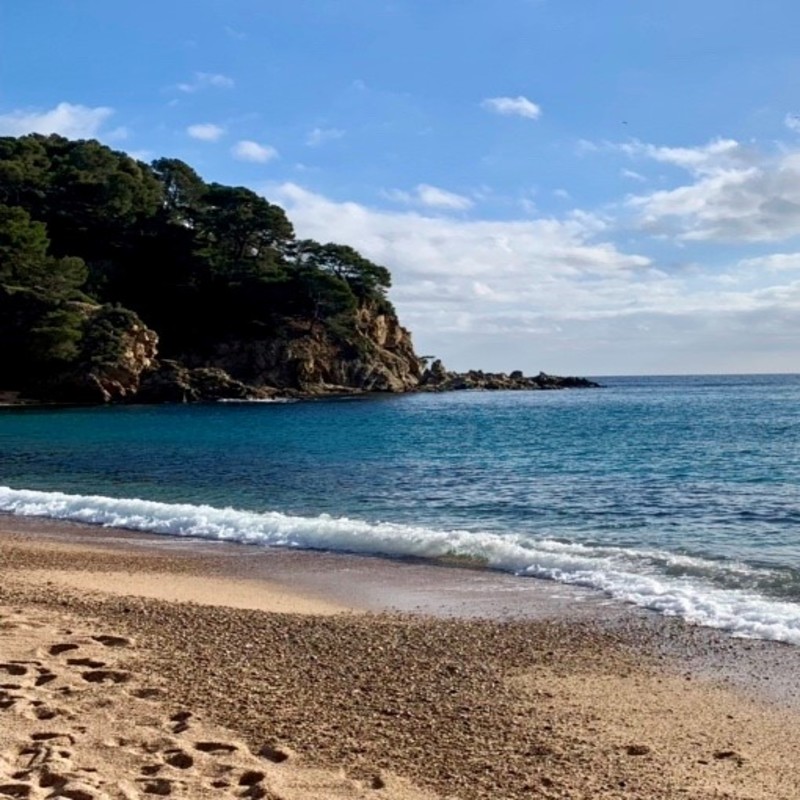 Aprovada una primera moratòria de tramitacions i llicències en la franja litoral de la Costa Brava